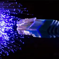 about img-gallery about img-gallery