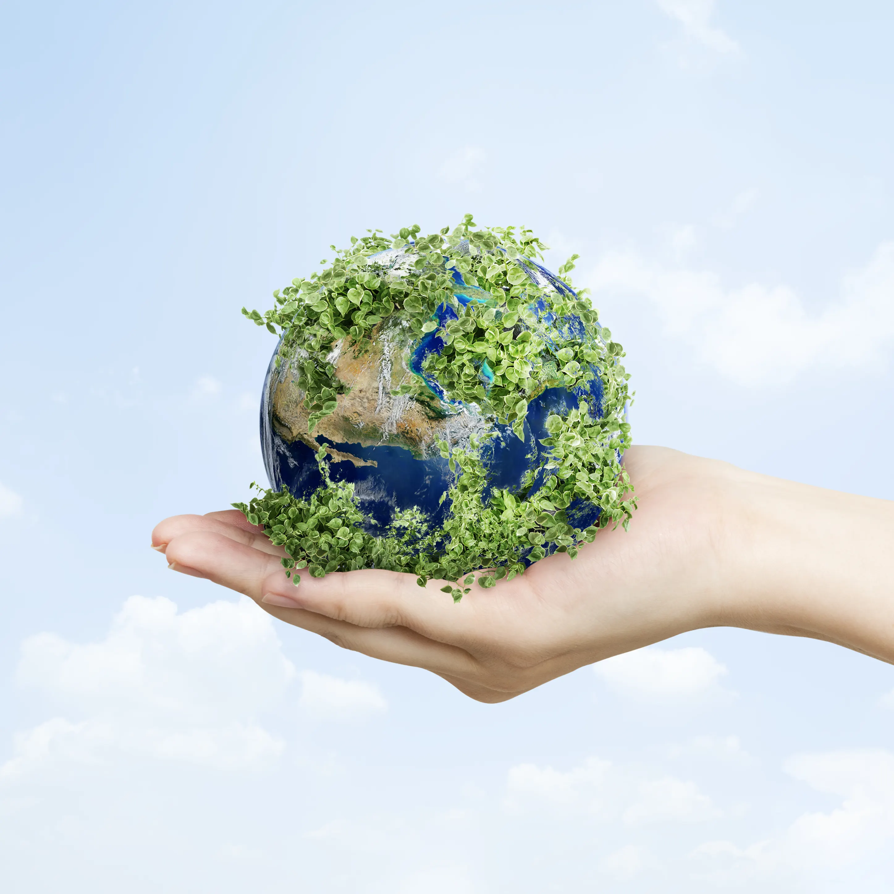 environment environment